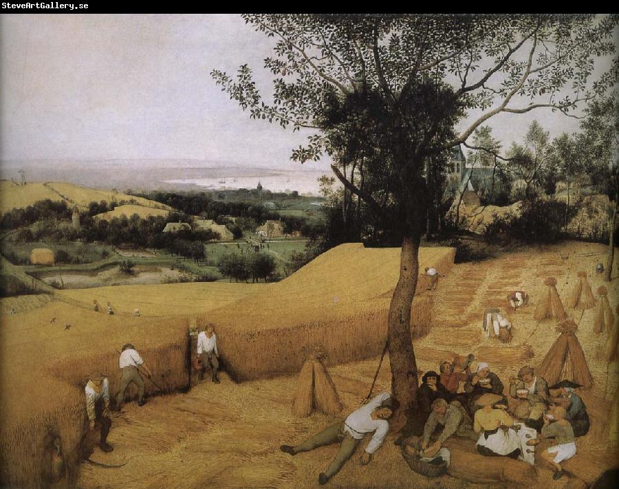 Pieter Bruegel Michael received